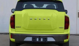 哈弗酷狗最新爆料新闻,最新车型动态及神秘技术揭秘